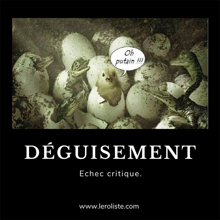 Même jeu de rôle - Déguisement